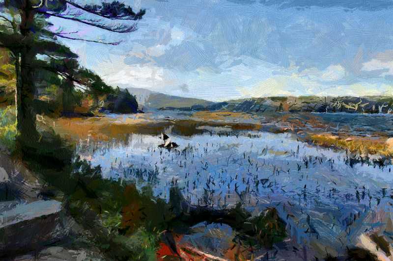 Pond