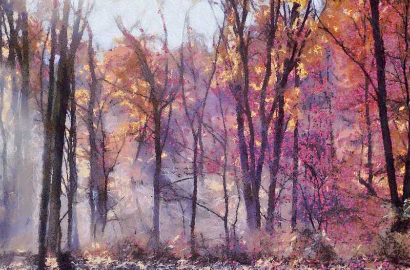 Trees and Steam
