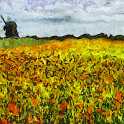 Van Gogh In Sweden